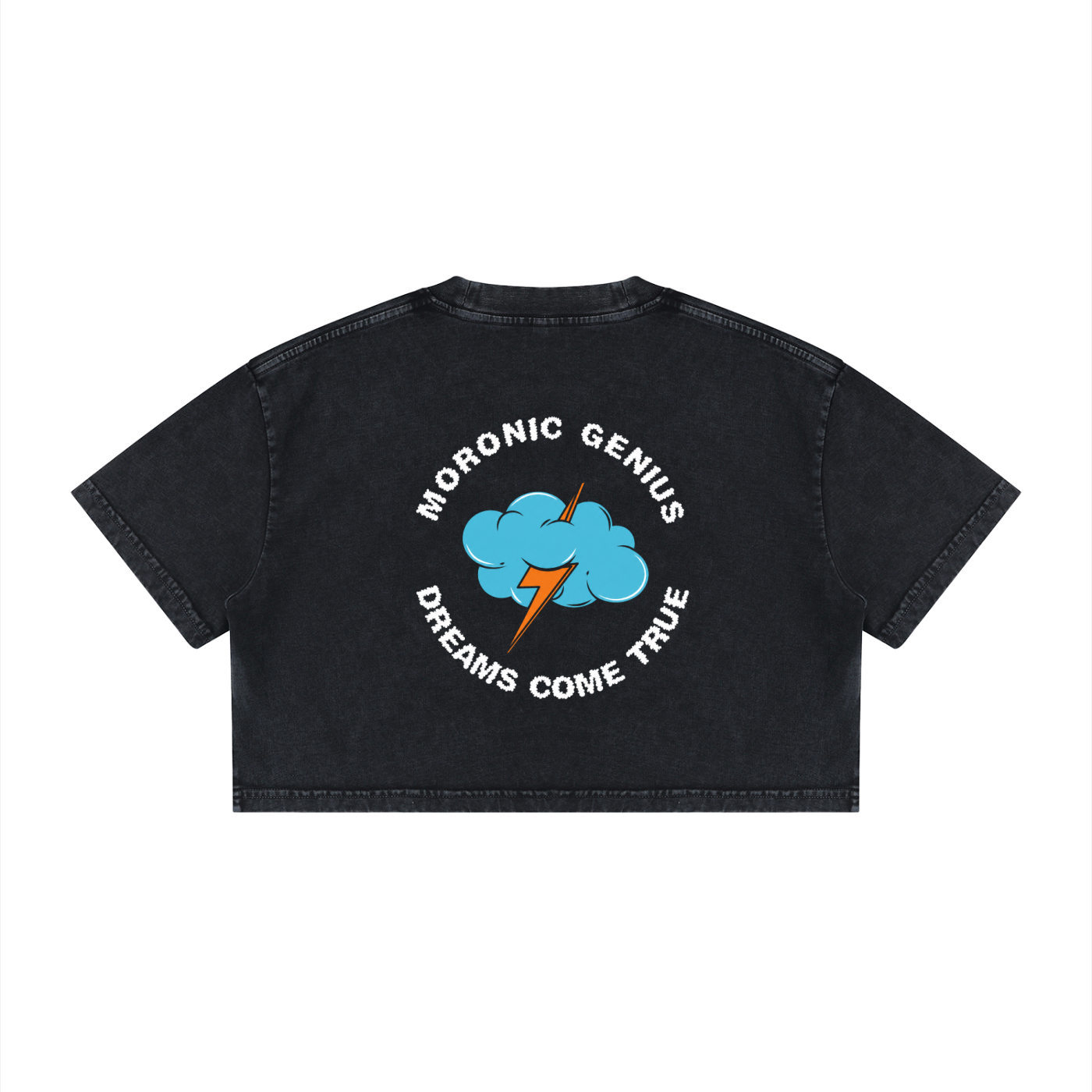 Women's Visionary cropped tee in mineral wash black, Moronic Genius back badge